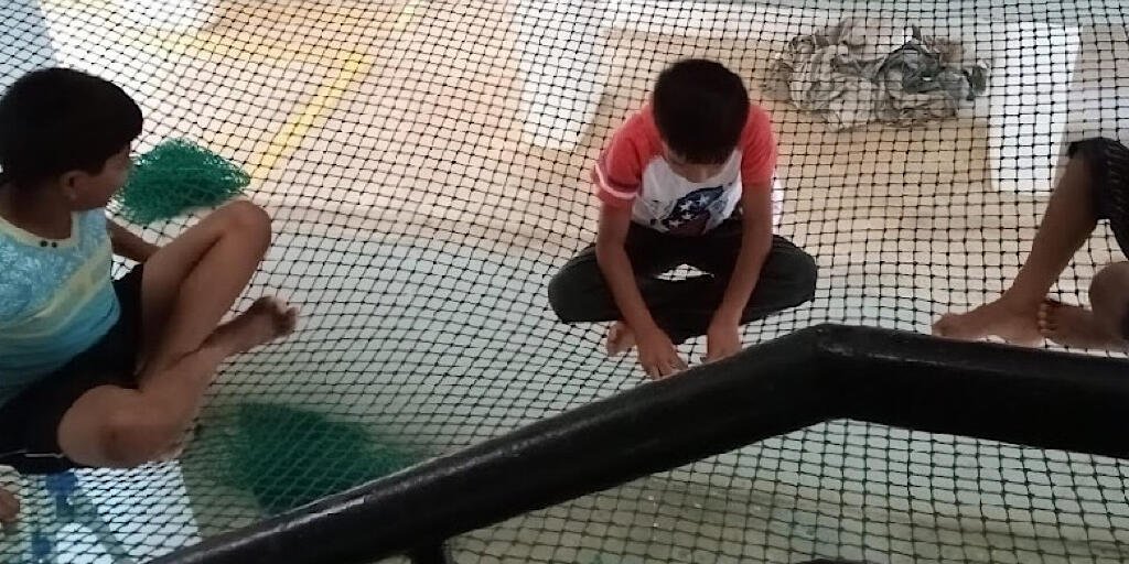 Pigeon Net & Bird Netting & Safety Nets: Ensuring Safety and Protection with Duct Area Nets